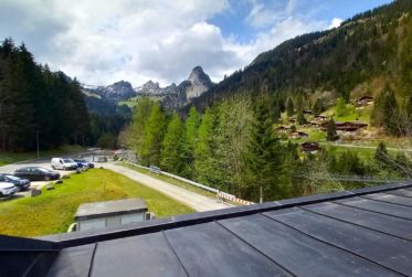Appartement de 2.5 pièces dans le domaine des Portes du Soleil
