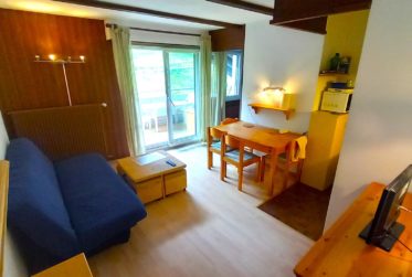 Appartement de 2.5 pièces dans le domaine des Portes du Soleil