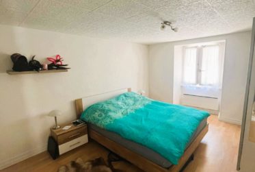 Maison villageoise avec 2 appartements indépendants et une grange
