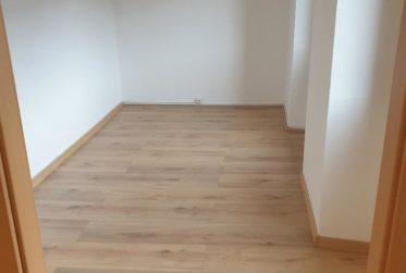 Joli 3 pièces entièrement rénové