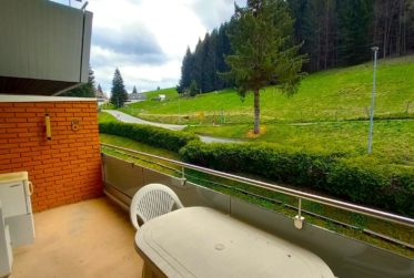 Appartement de 2.5 pièces dans le domaine des Portes du Soleil