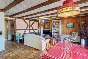 Chalet traditionnel en bordure de la Forêt de Finges