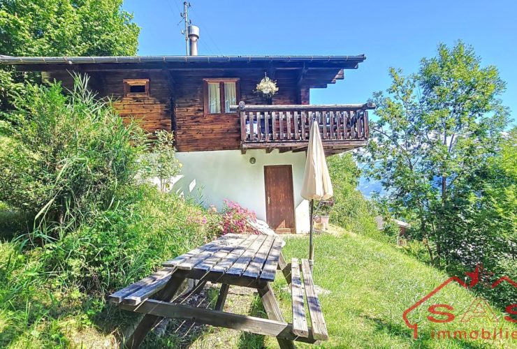 Chalet de charme à Vex, entre la capitale Valaisanne et les 4 Vallées (Résidence principale ou secondaire)