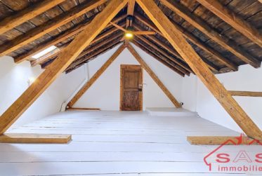 Exclusivité - 2 lots PPE : appartement rénové + mansarde avec joli potentiel