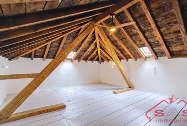 Exclusivité - 2 lots PPE : appartement rénové + mansarde avec joli potentiel
