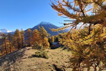 Pour amoureux de la nature !