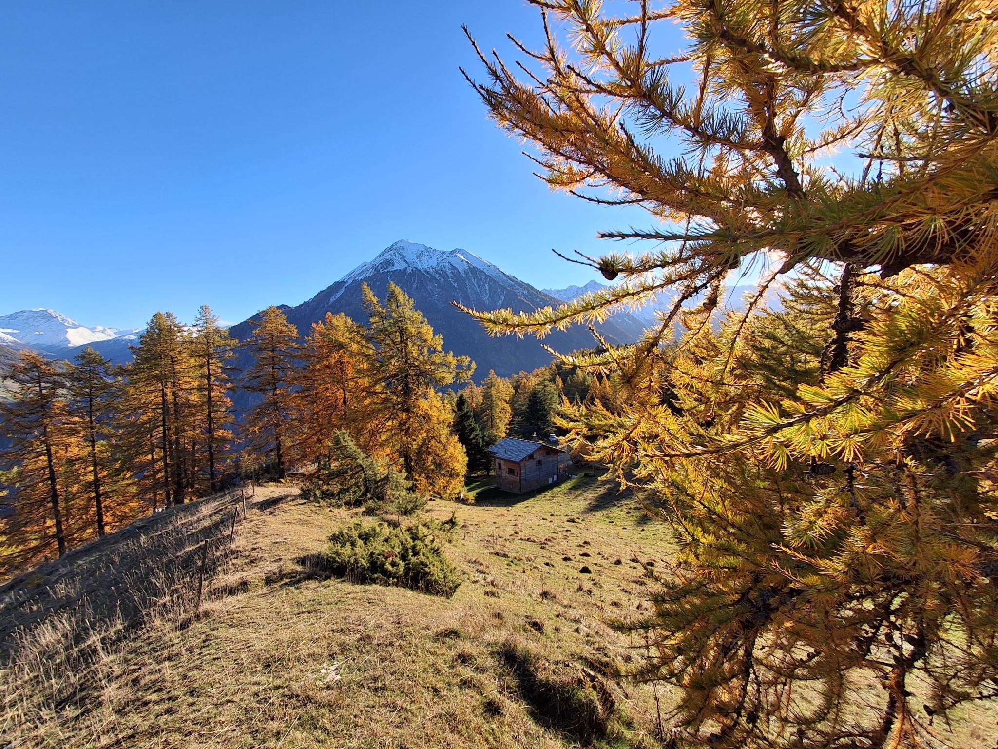 Pour amoureux de la nature !