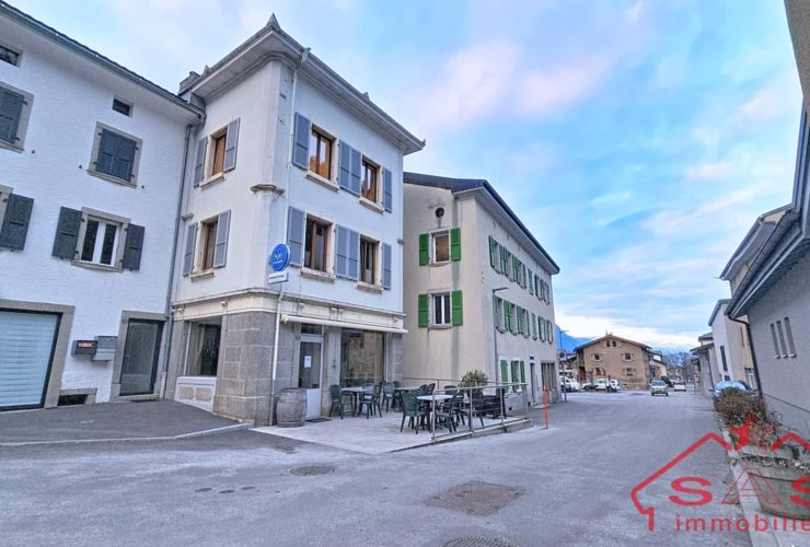 2 lots PPE : appartement + mansarde avec joli potentiel