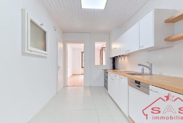 2 lots PPE : appartement + mansarde avec joli potentiel