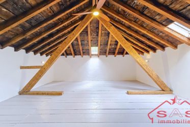 2 lots PPE : appartement + mansarde avec joli potentiel