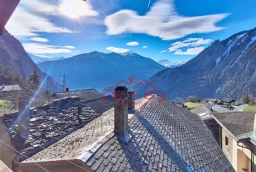 6.5 Rooms House, Village house