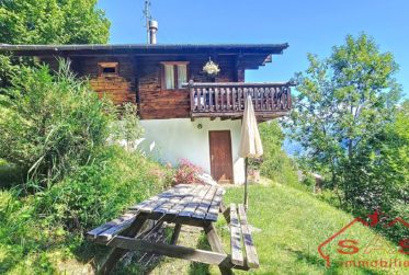 Chalet de charme à Vex, entre la capitale Valaisanne et les 4 Vallées (Résidence principale ou secondaire)