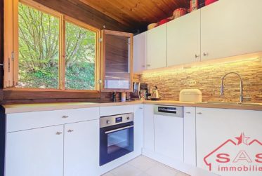 Chalet de charme à Vex, entre la capitale Valaisanne et les 4 Vallées (Résidence principale ou secondaire)