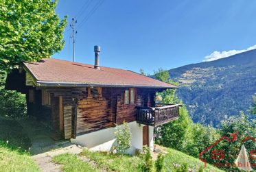 Chalet de charme à Vex, entre la capitale Valaisanne et les 4 Vallées (Résidence principale ou secondaire)